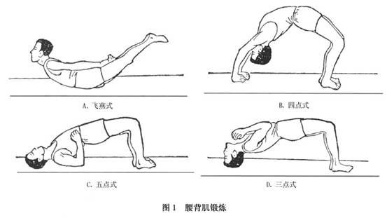 锻炼脊椎